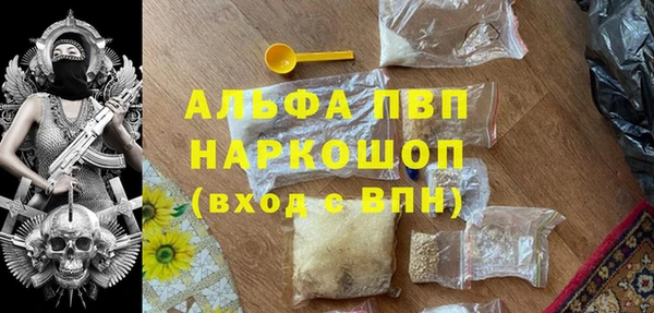 ГАЛЛЮЦИНОГЕННЫЕ ГРИБЫ Балахна
