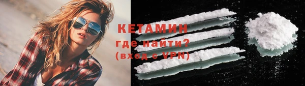 крисы Баксан