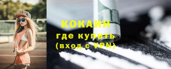 крисы Баксан