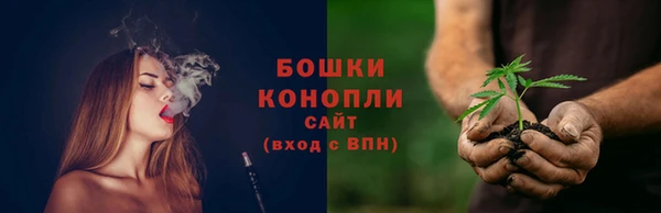 крисы Баксан