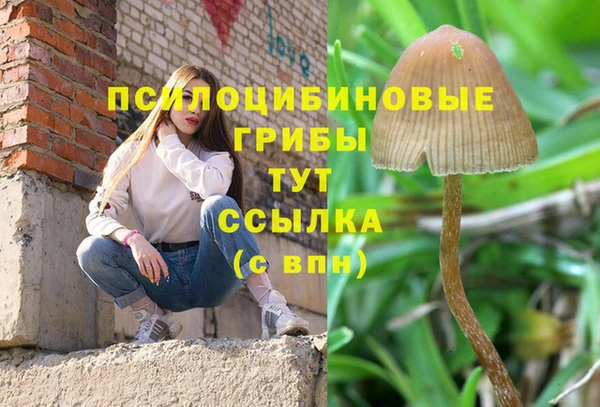 ГАЛЛЮЦИНОГЕННЫЕ ГРИБЫ Балахна