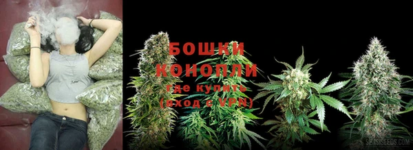 крисы Баксан