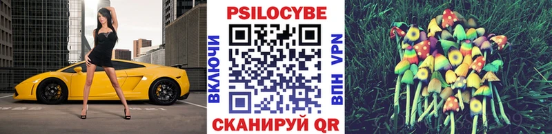 закладки  Белогорск  мориарти телеграм  Псилоцибиновые грибы Psilocybe 