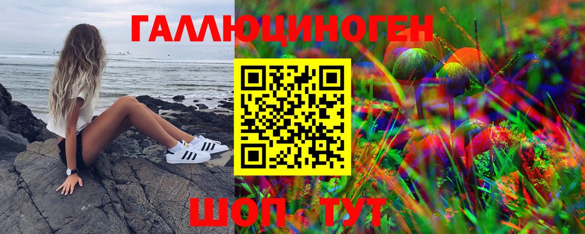 Псилоцибиновые грибы Psilocybe Белогорск